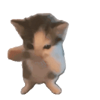 Dancing cat mascot